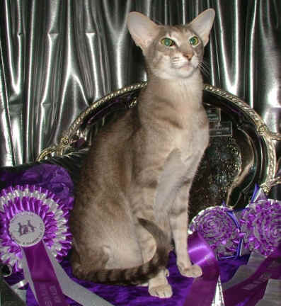 DSCF4600.jpg (25446 bytes)