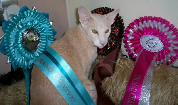 foxyoct091.jpg (20342 bytes)