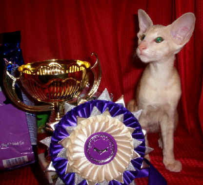 image005.jpg (234755 bytes)