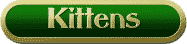 kittens.gif (2126 bytes)